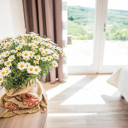 Casa Zen San Martino Buon Albergo