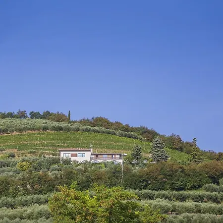 Farma Casa Zen