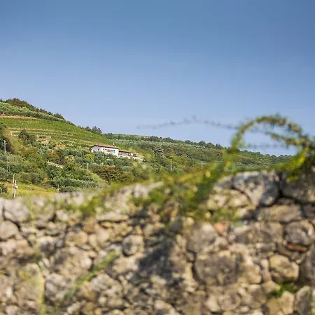 Farma Casa Zen San Martino Buon Albergo